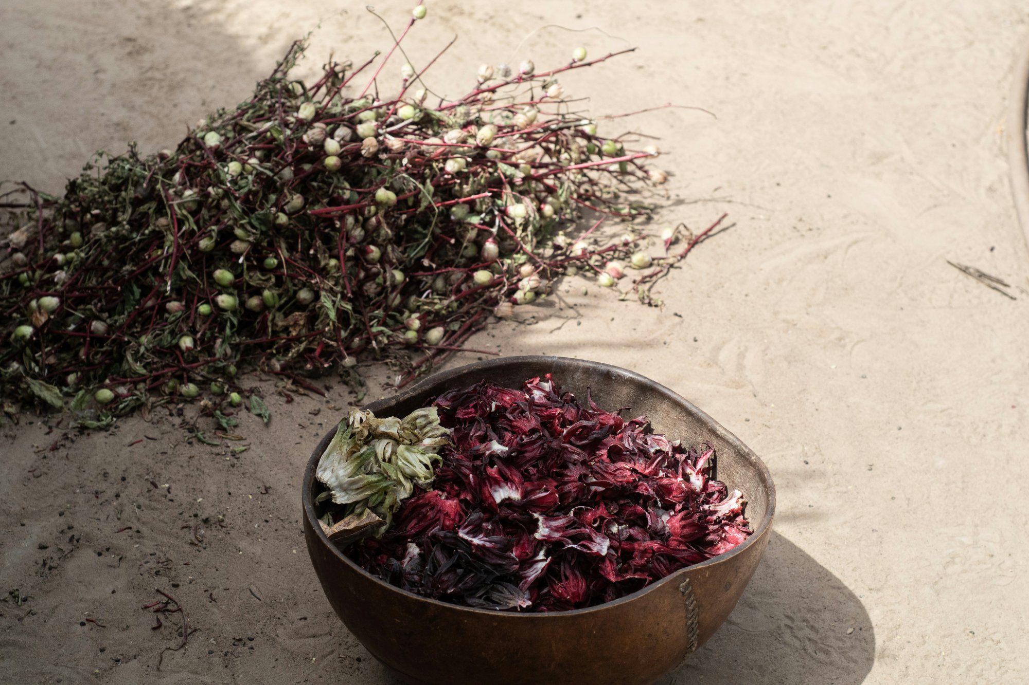 Botanical practices