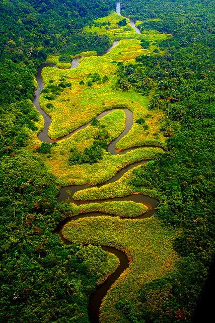 Congo landscape