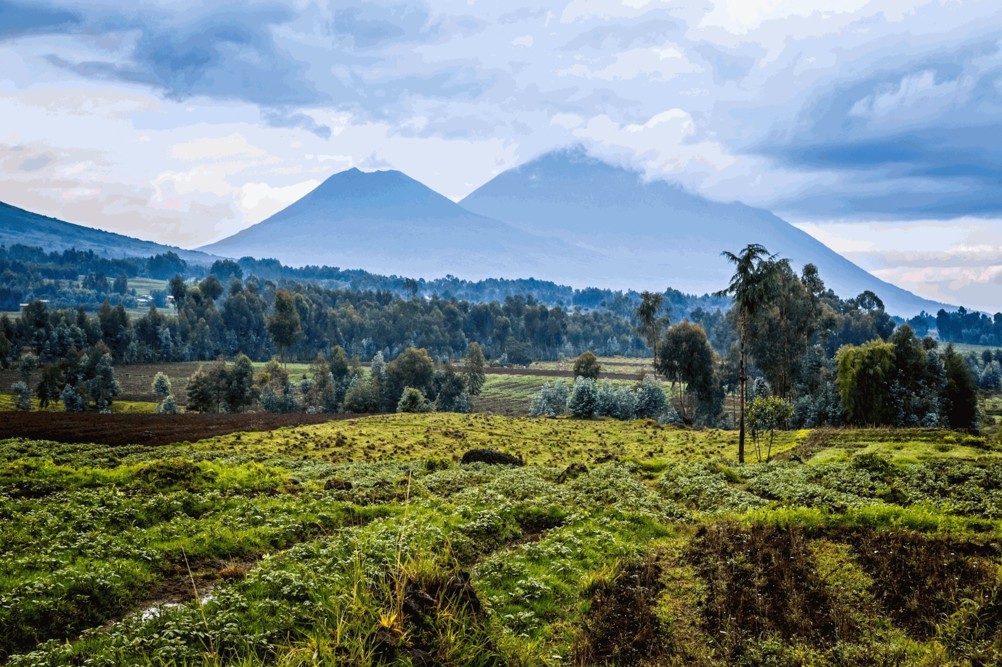 Virunga National Park — Eastern DRC